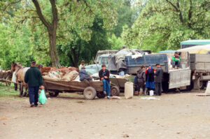Parking for the carts at Zabolotiv Market, Ukraine