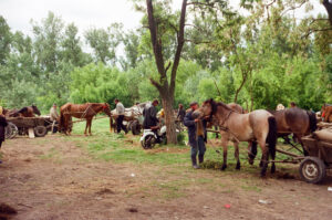 Men attending to their horses at Zabolotiv Market, Ukraine