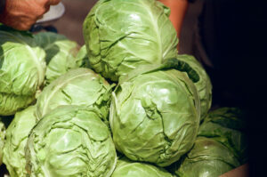Close-up of cabbages at Zabolotiv Market, Ukraine