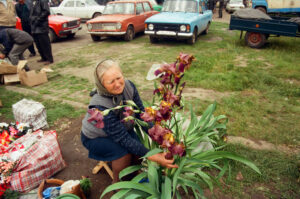 Expert gardener presenting irises at Zabolotiv Market, Ukraine