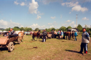 Parking horses and carriages at Kosiv Market - Ukraine