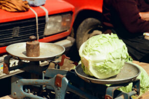 Cabbage on the scales at Kosiv Market - Ukraine