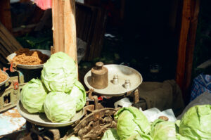 Cabbages on antique scales at Zabolotiv Market, Ukraine