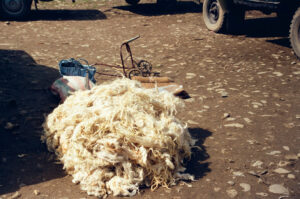 Sheepskin at display at Kosiv Market - Ukraine