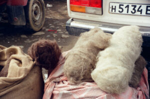 Combed wool at display at Kosiv Market - Ukraine