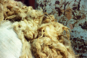 Close-up of sheepskin at Kosiv Market - Ukraine