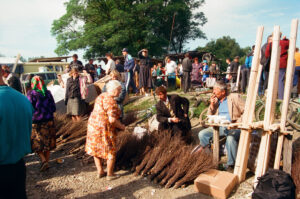 Craftsmen s selling handmade rice brooms at Zabolitiv Market, Ukraine