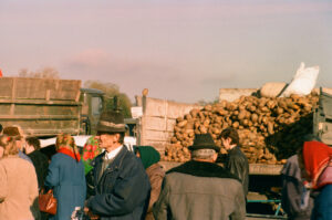 Truckload of sugar beet at Kosiv Market - Ukraine