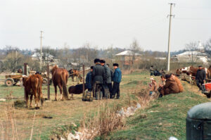Farmers selling horses at Kosiv Market - Ukraine