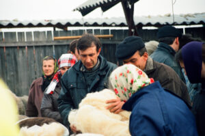 Trading combed wool at Kosiv Market - Ukaine