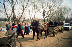 Horses and carriage leaving Kosiv Market- Ukraine