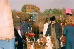 Farmers selling cattle at Kosiv Market - Ukraine